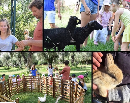 ferme-pedagogique-sortie-activite-enfants-nice