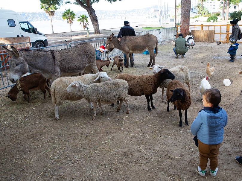 ferme-animaux-antibes-noel-enfants-animations
