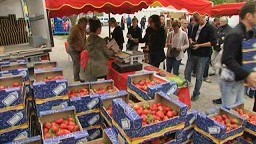 fete-fraises-carros-vente-animations-programme