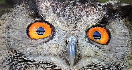 sortie-famille-alpes-maritimes-06-cote-azur