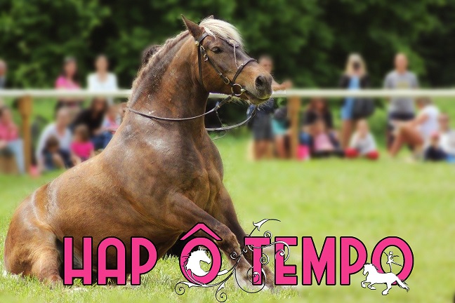 hap-tempo-club-equestre-arts-cirque-villeneuve-loubet