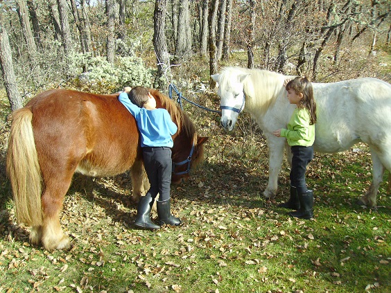 mon-ami-poney-enfants-saint-blaise
