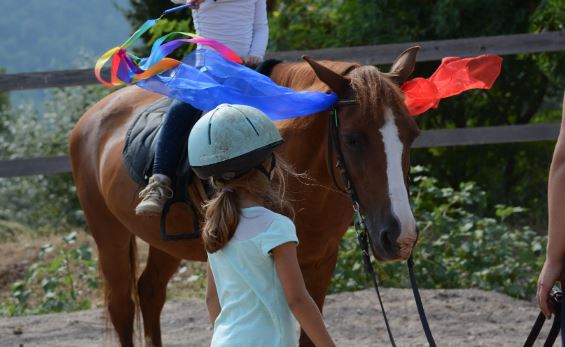 centre-equestre-enfants-poneys-nice-06
