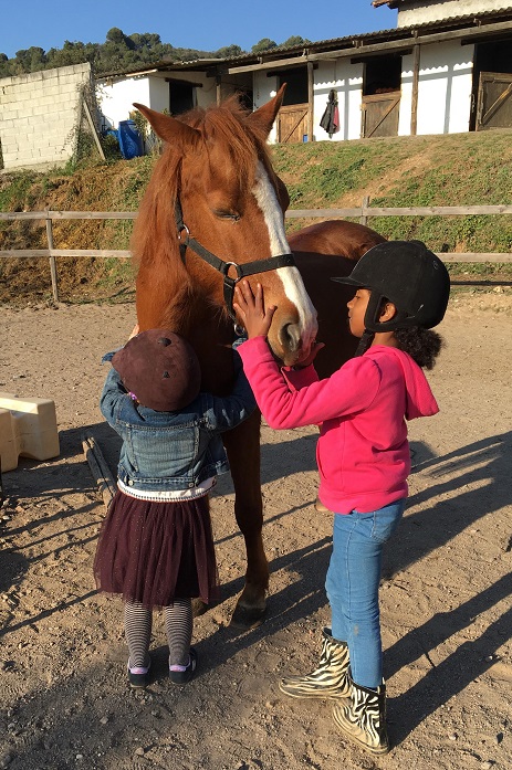 activite-vacances-enfant-poney-equitation-06