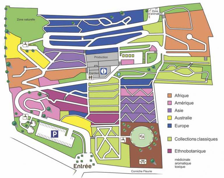 plan-jardin-botanique-nice-especes-plantes