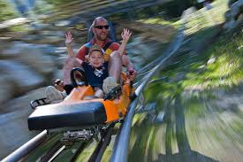 sortie-famille-foux-allos-luge-rail