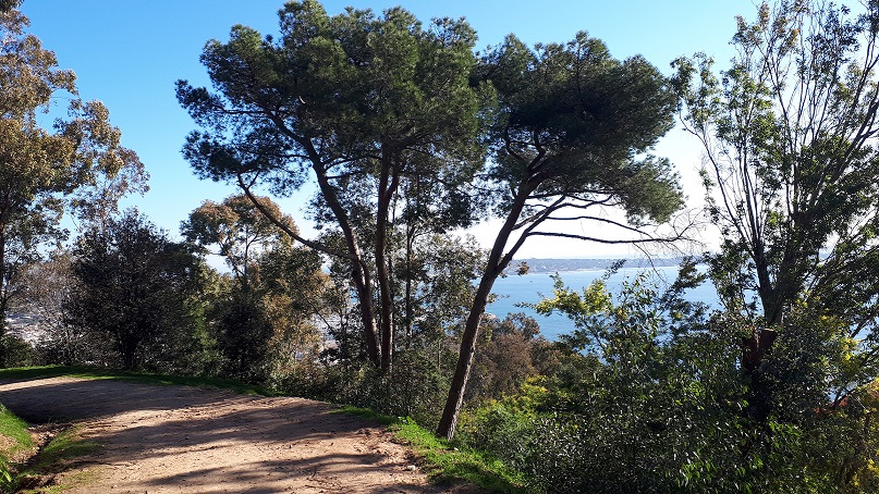 balade-foret-parc-littoral-cote-azur
