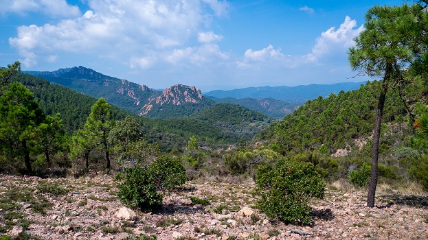 sortie-randonnee-esterel-famille-enfants-mandelieu