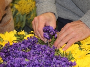 fete-violette-tourrette-loup-alpes-maritimes-sortie-famille-enfant