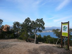 flore au parc de l'Esterel sortie-enfants-famille-randonnee-parc-esterel