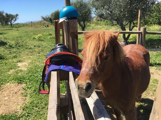 balade-poney-enfants-sortie-nice-06