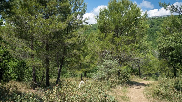 balade-famille-pique-nique-nature-06