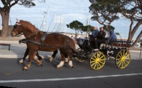 sortie-famille-alpes-maritimes-06-cote-azur