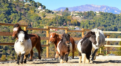 sortie-nice-famille-alpes-maritimes-bon-plan