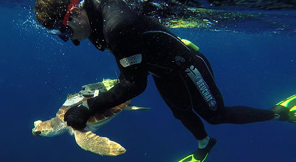 musee-aquarium-monaco-horaire-tarifs-infos-animations-programme-vacances