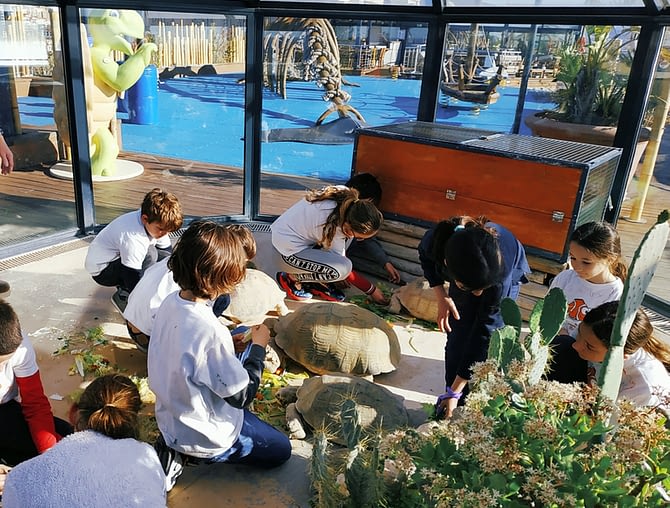 activites-enfant-ado-stage-vacances-cote-azur-nature-mer