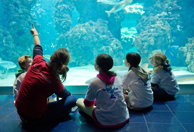 stage-vacances-enfants-musee-oceanographique-monaco