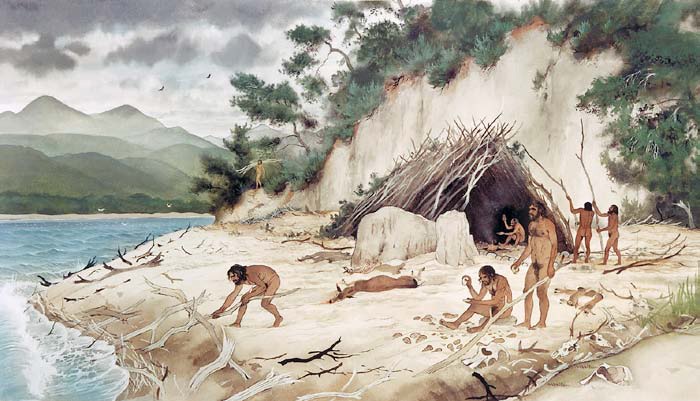 musee-prehistoire-terra-amata-ossements-nice