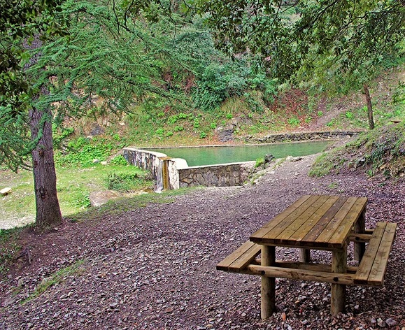 promenade-foret-pistes-balisees-alpes-maritimes