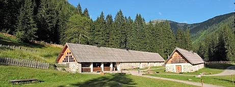 parc-animalier-alpha-loup-mercantour-familles