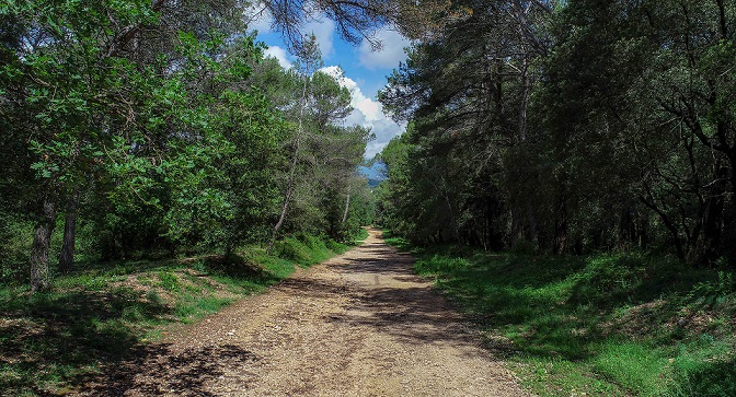 promenade-famille-jeux-enfants-parcs-06