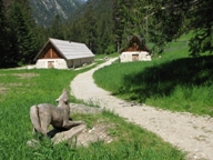 Chalet du Boréon vacances-famille-chalet-boreon-parc-alpha