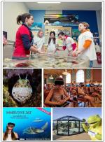 animations-famille-vacances-musee-oceanographique-monaco