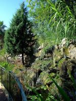 sortie-famille-enfants-jardin-botanique-nice