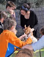 ferme-pedagogique-graines-fermiers-visite-famille