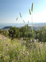 parc-vinaigrier-nice-sortie-famille-enfants