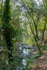activite-enfants-rives-brague-alpes-maritimes