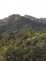 sortie-enfants-parc-esterel-alpes-maritimes