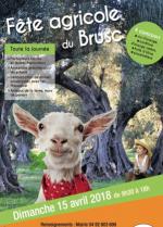 fete-agricole-brusc-chateauneuf-animations-famille