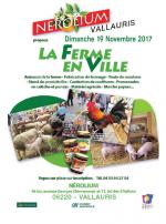 sortie-famille-ferme-ville-vallauris-animaux