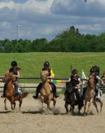 camps-enfants-vacances-equitation-activites-veys