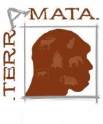musee-archeologie-nice-tarra-amata-horaires-tarif