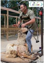 fete-ete-parc-kids-island-animations-famille