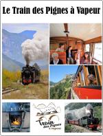 train-pignes-vapeur-sortie-famille-locomotive