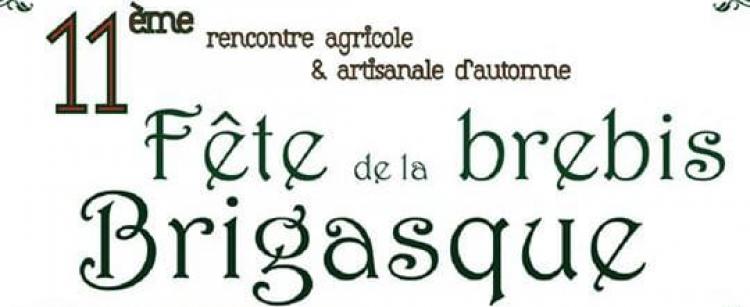 fete-brebis-brigasque-sortie-famille-brigue