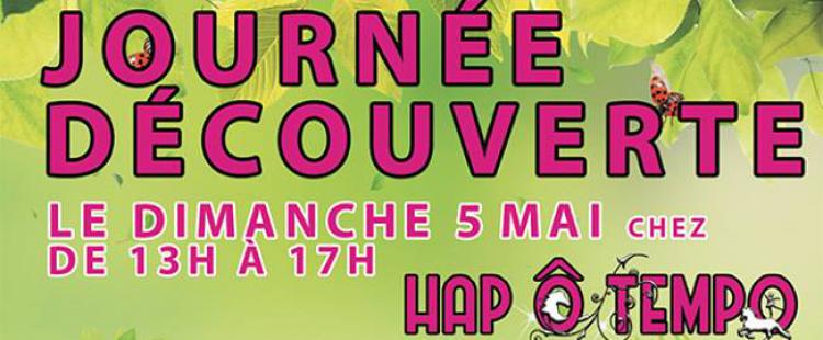 journee-decouverte-hapotempo-club-poney-villeneuve-loubet