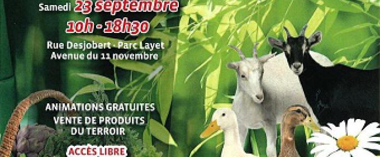 fete-terroir-saint-laurent-du-var-programme-2017