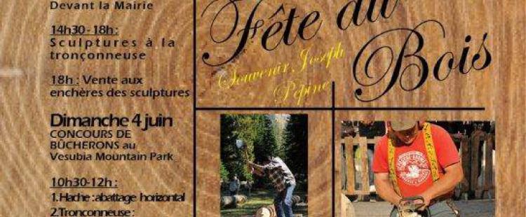 fete-bois-saint-martin-vesubie-2017-famille