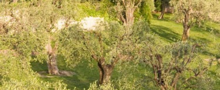 parc-arenes-cimiez-nice-vacances-famille