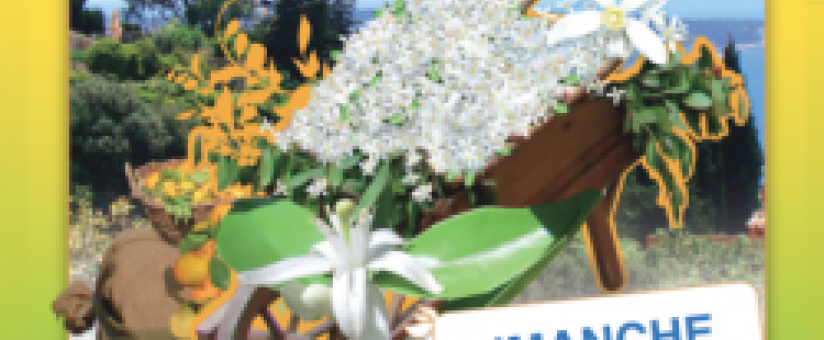 sortie-famille-fete-fleurs-oranger-vallauris-2019