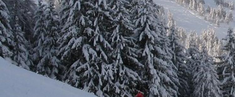 vacances-ski-enfants-famille-colmiane-station