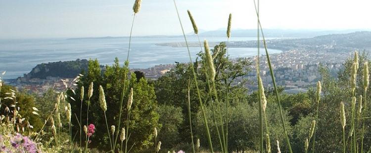 parc-vinaigrier-nice-sortie-famille-enfants