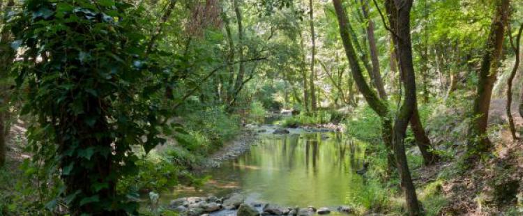 activite-enfants-rives-brague-alpes-maritimes