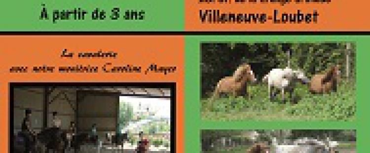 Les stages de voltige equestre à Villeneuve Loubet equitation-activite-enfants-poney-stages-vacances