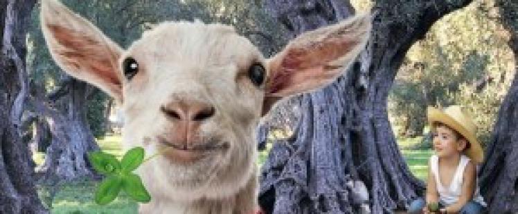 fete-agricole-brusc-chateauneuf-animations-famille