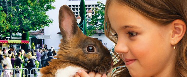 rocheville-campagne-animaux-animations-famille